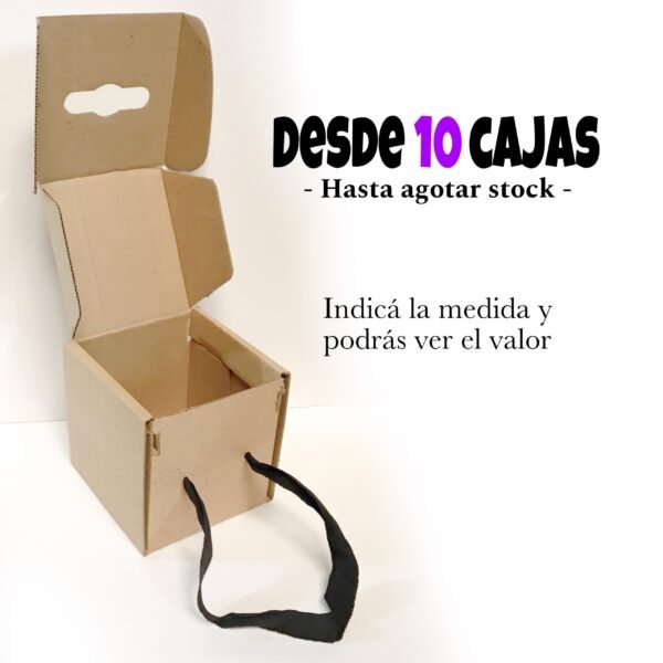 Caja Bolsa PAQUETE 10 unidades