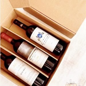 Caja Bolsa para botellas, termos y set materos