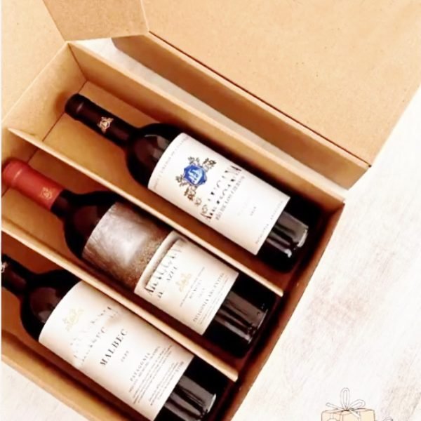 Caja Bolsa para botellas, termos y set materos